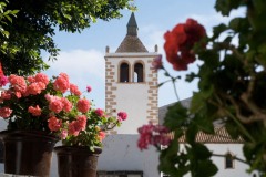 Aytobetancuria_betancuria011