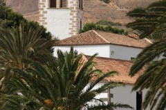 Aytobetancuria_betancuria037