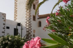 Aytobetancuria_betancuria063