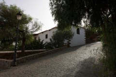 Aytobetancuria_betancuria069