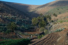Aytobetancuria_betancuria077