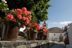 Aytobetancuria_betancuria090