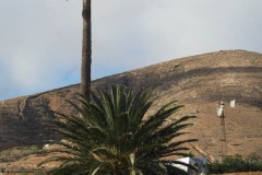 Aytobetancuria_betancuria091