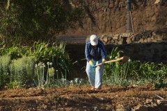 Aytobetancuria_betancuria092