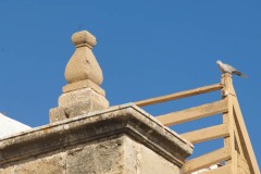 Aytobetancuria_lavega030